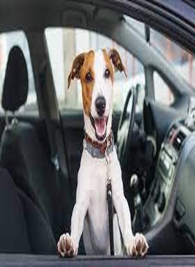 BLESSING PET SUPPLY Dog SEAT Belts 1" CAR SEAT Belt Buckle are Stainless Steel - Image 2